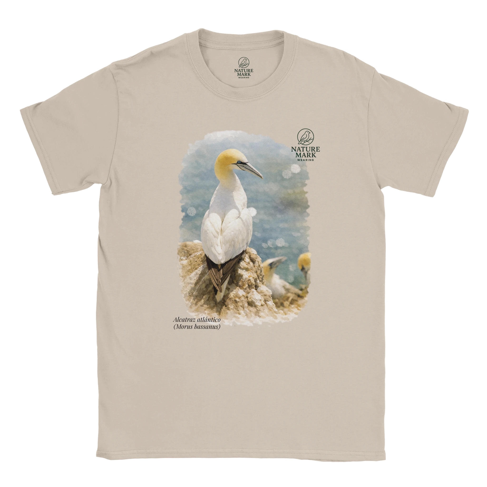 06a020cf-7a2d-41ba-bcbc-ad54382903ca