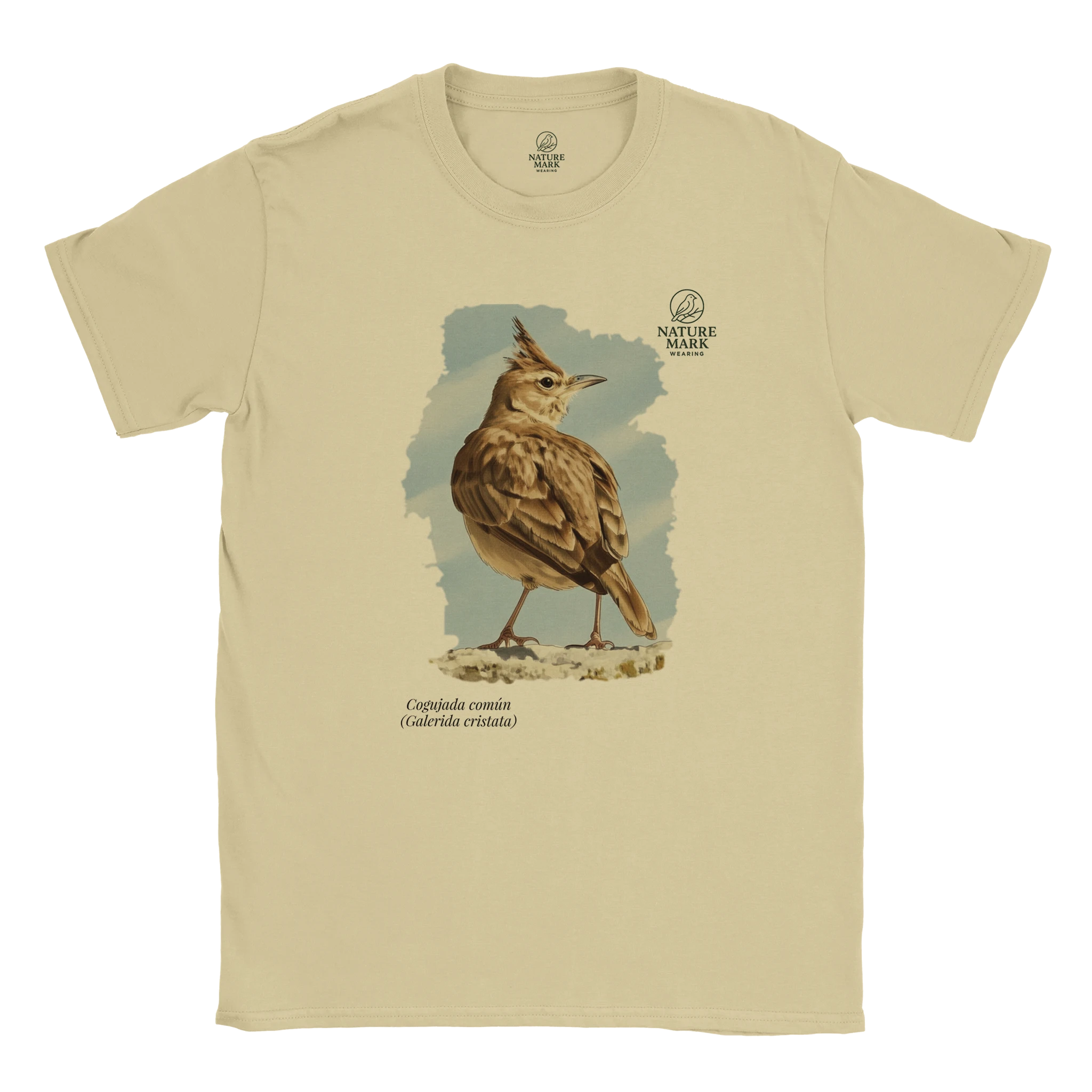 06b20a03-054e-4f31-826a-0fd536130652