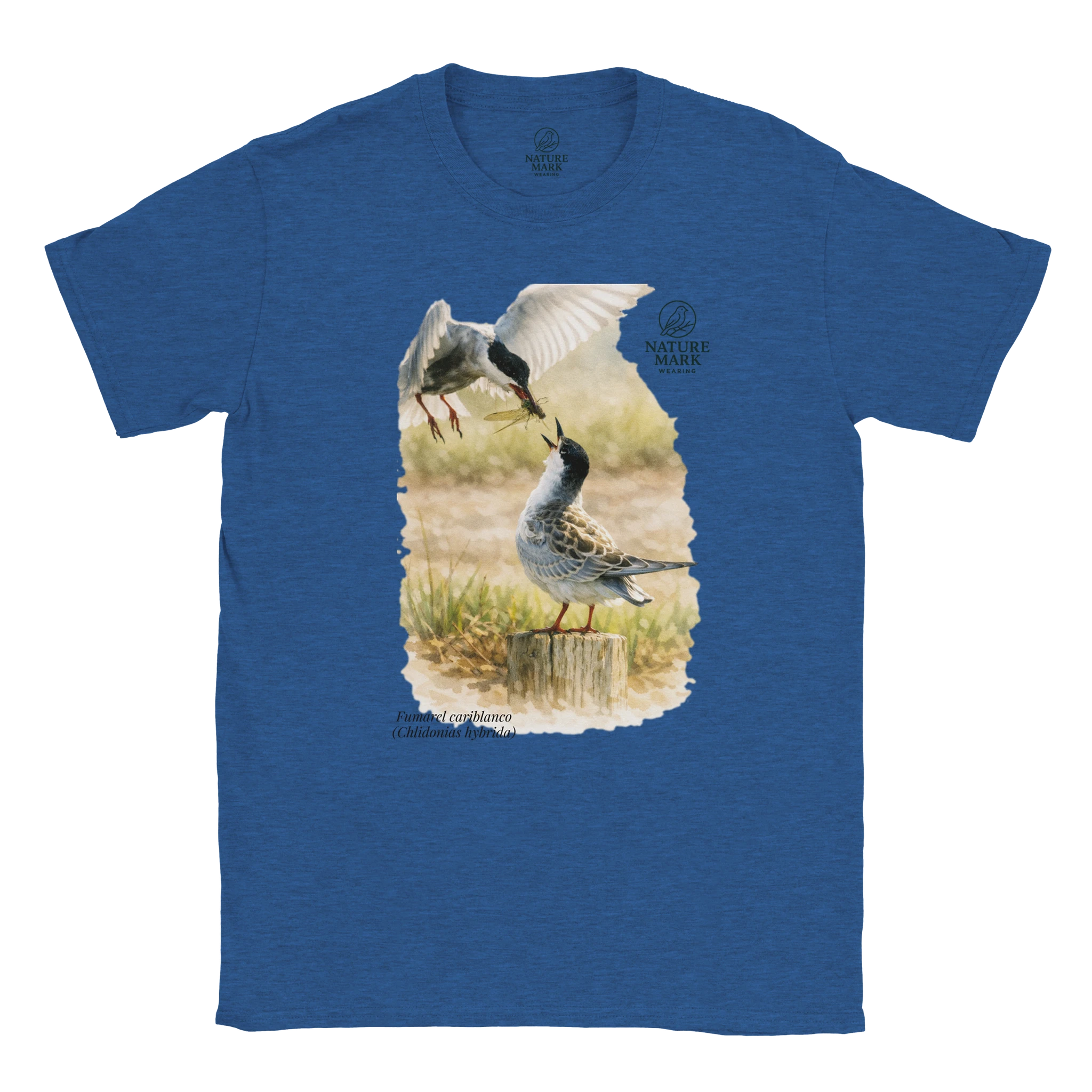 070f99c2-d631-4ff5-88aa-17b8e6749bbb