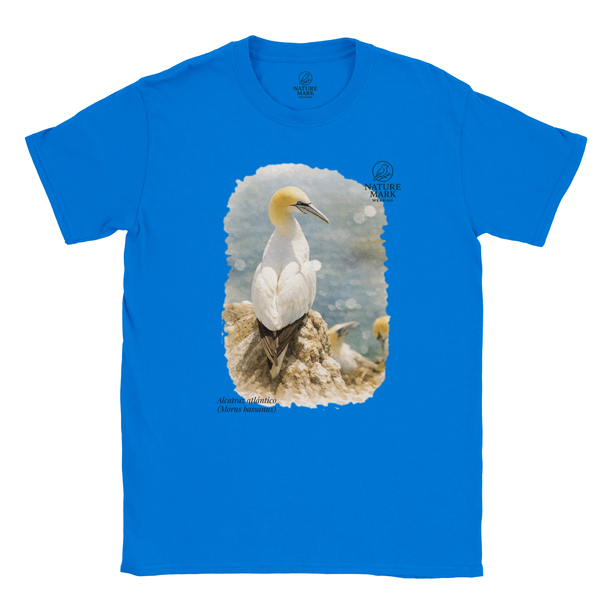 0bc5d7ab-c959-47e6-a0a9-23a8c64835e5