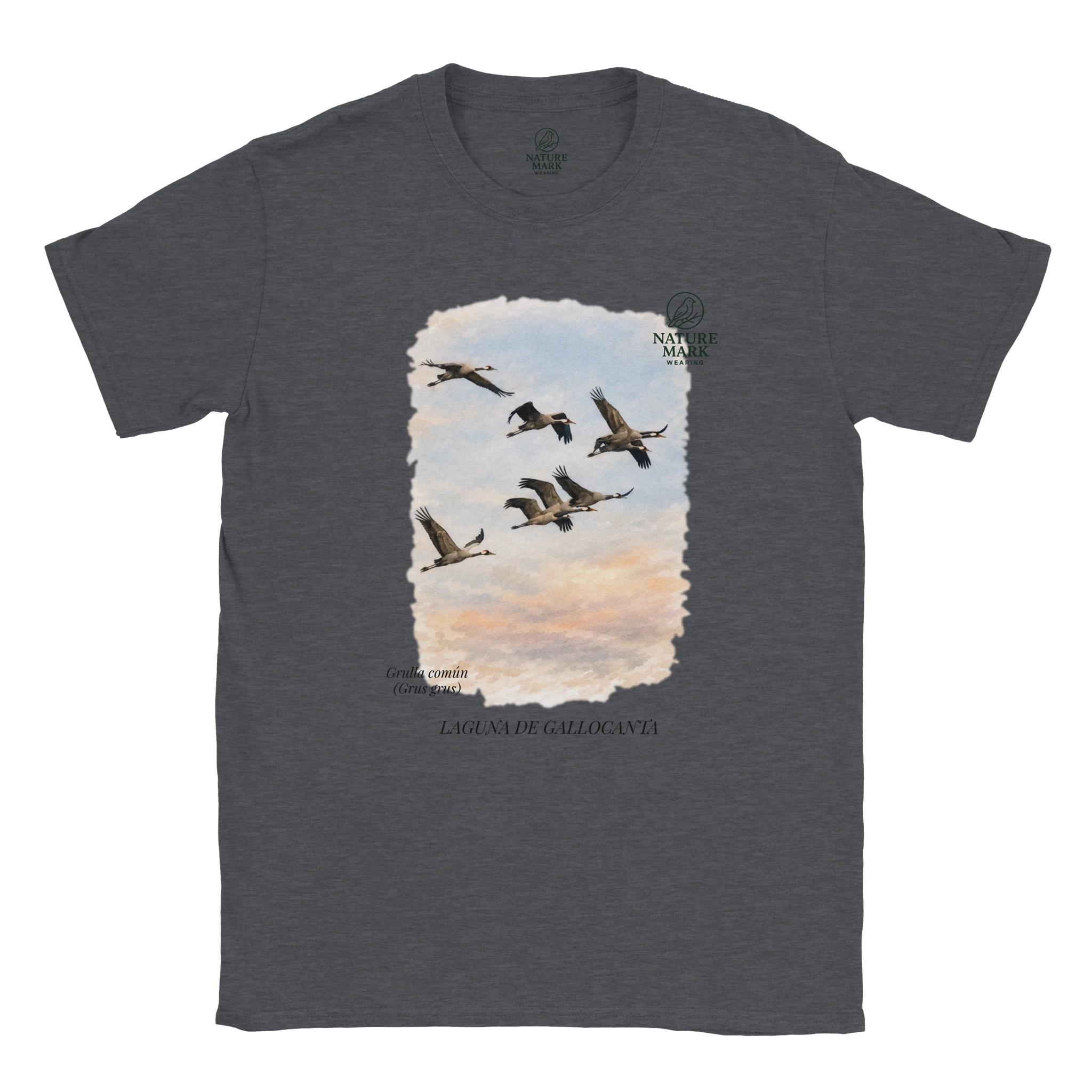 14b1753b-5c53-49f1-aa18-88185a9fbe4e