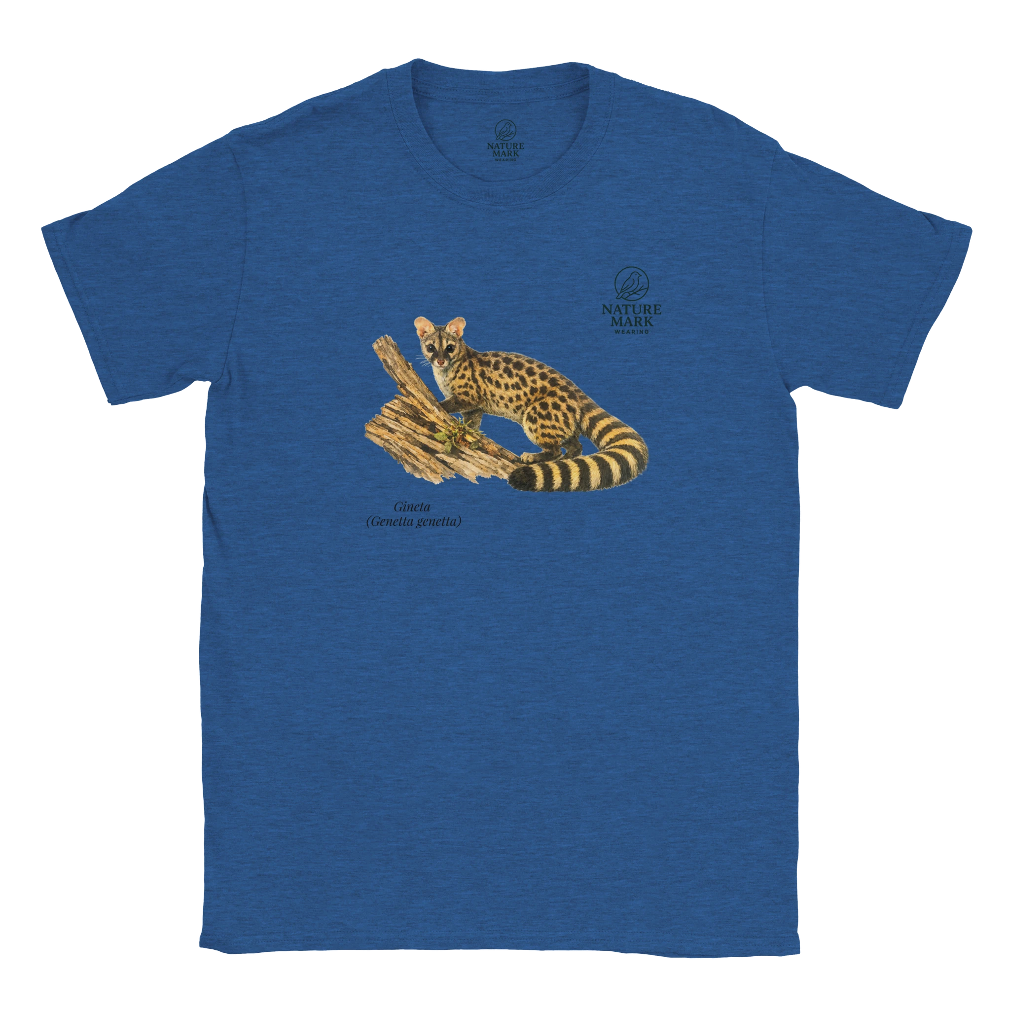 1c3107b9-c75c-436d-ae38-cc0b0d7b5b8f