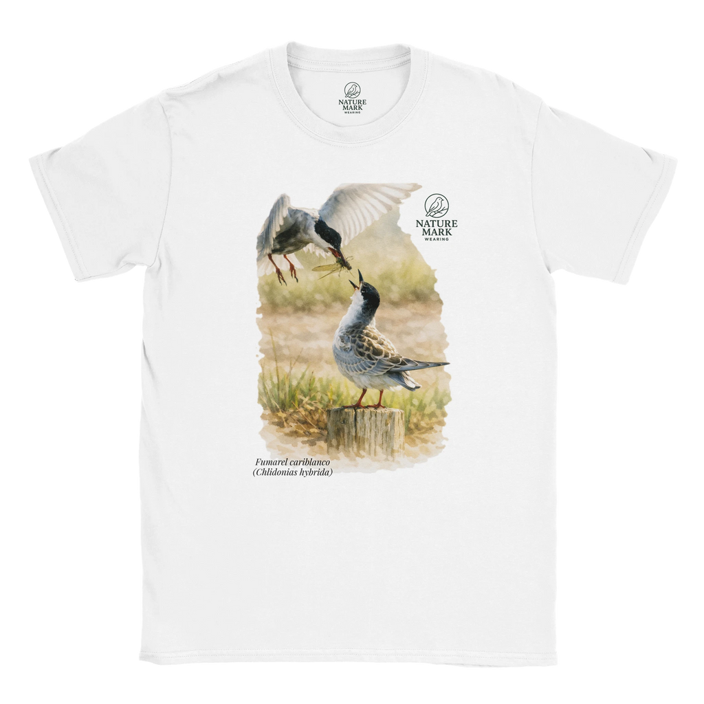 1e6a8054-34bf-45b4-a71a-6777fd248f7a