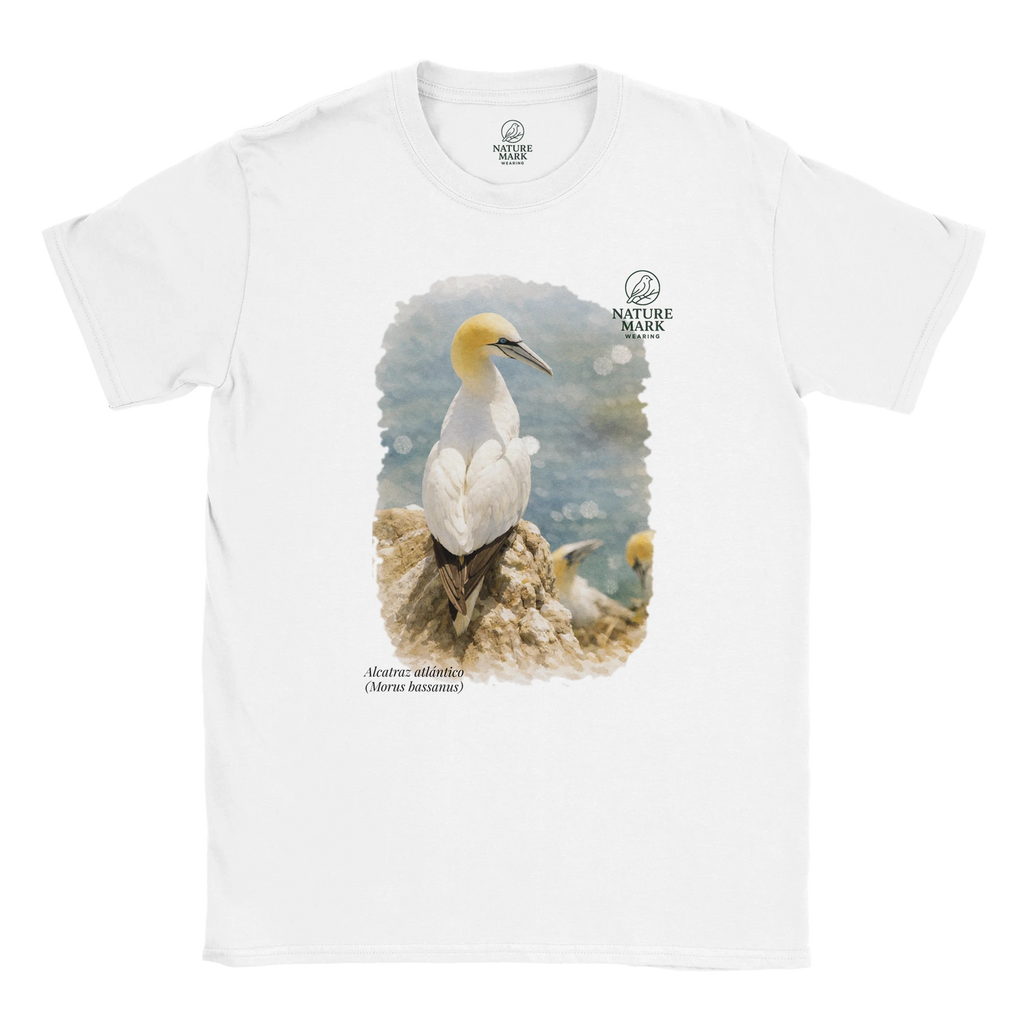 3fb8f5b7-3cfe-4357-b45a-89ba7772e5bc