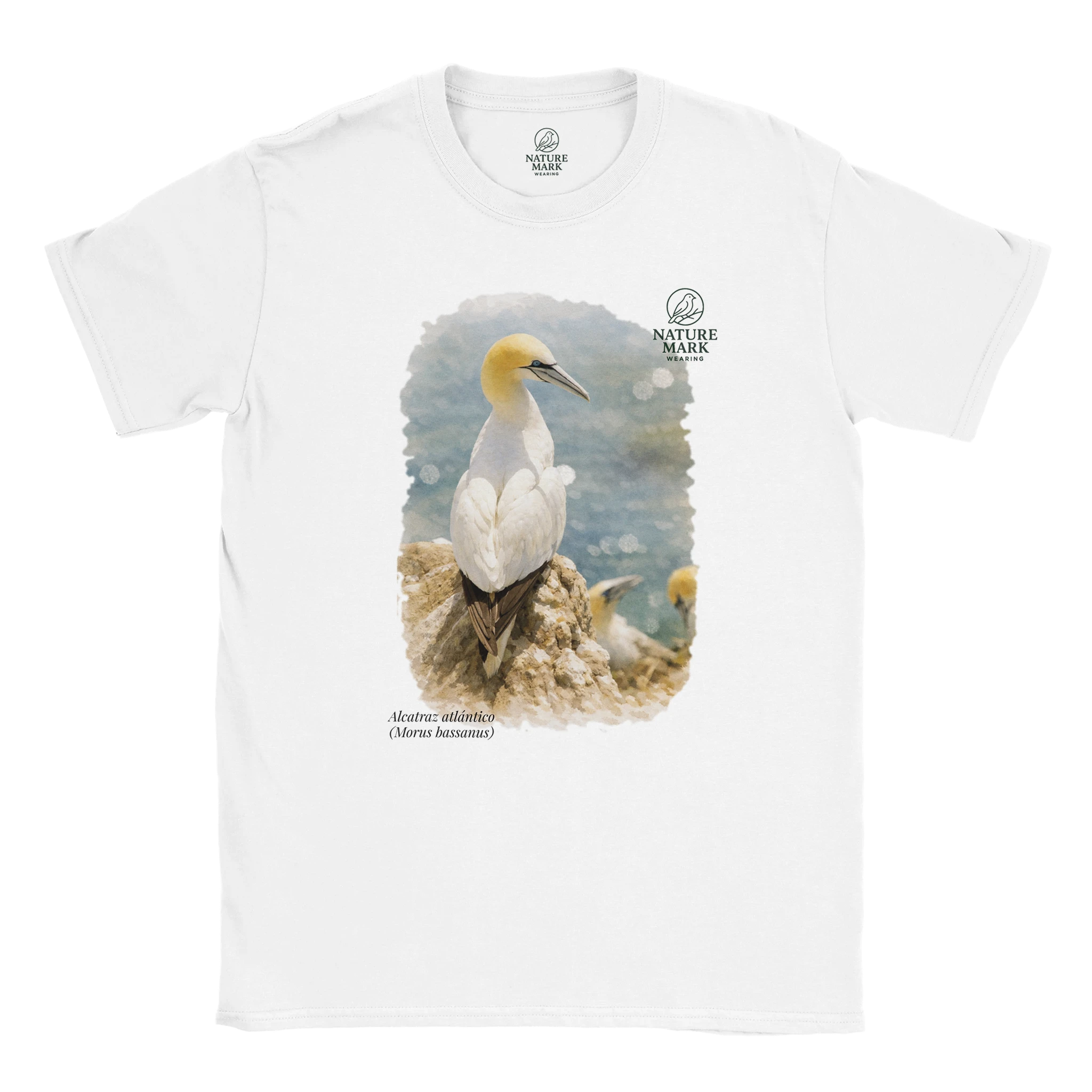 3fb8f5b7-3cfe-4357-b45a-89ba7772e5bc