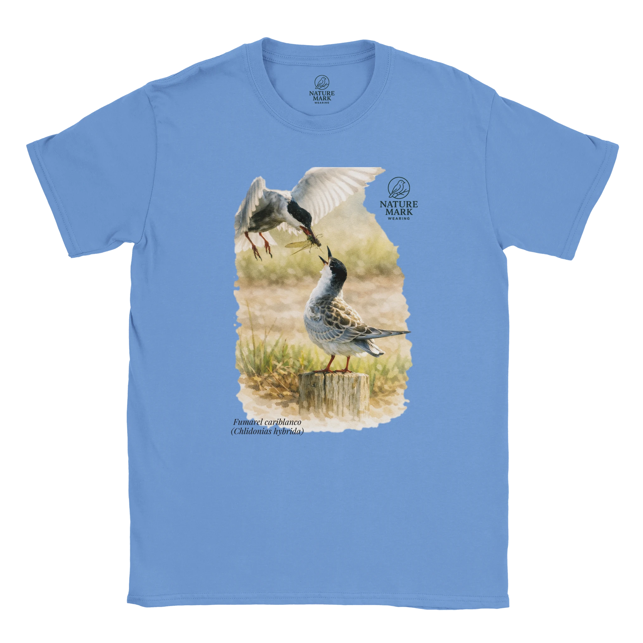 40b2ed80-1705-417e-800f-84f6f816b6d3