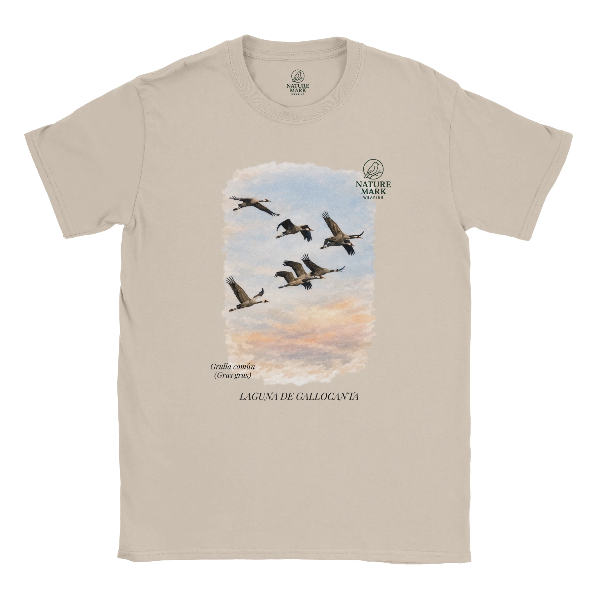 40fba36d-24ee-427e-acc5-f8f35bf315ad