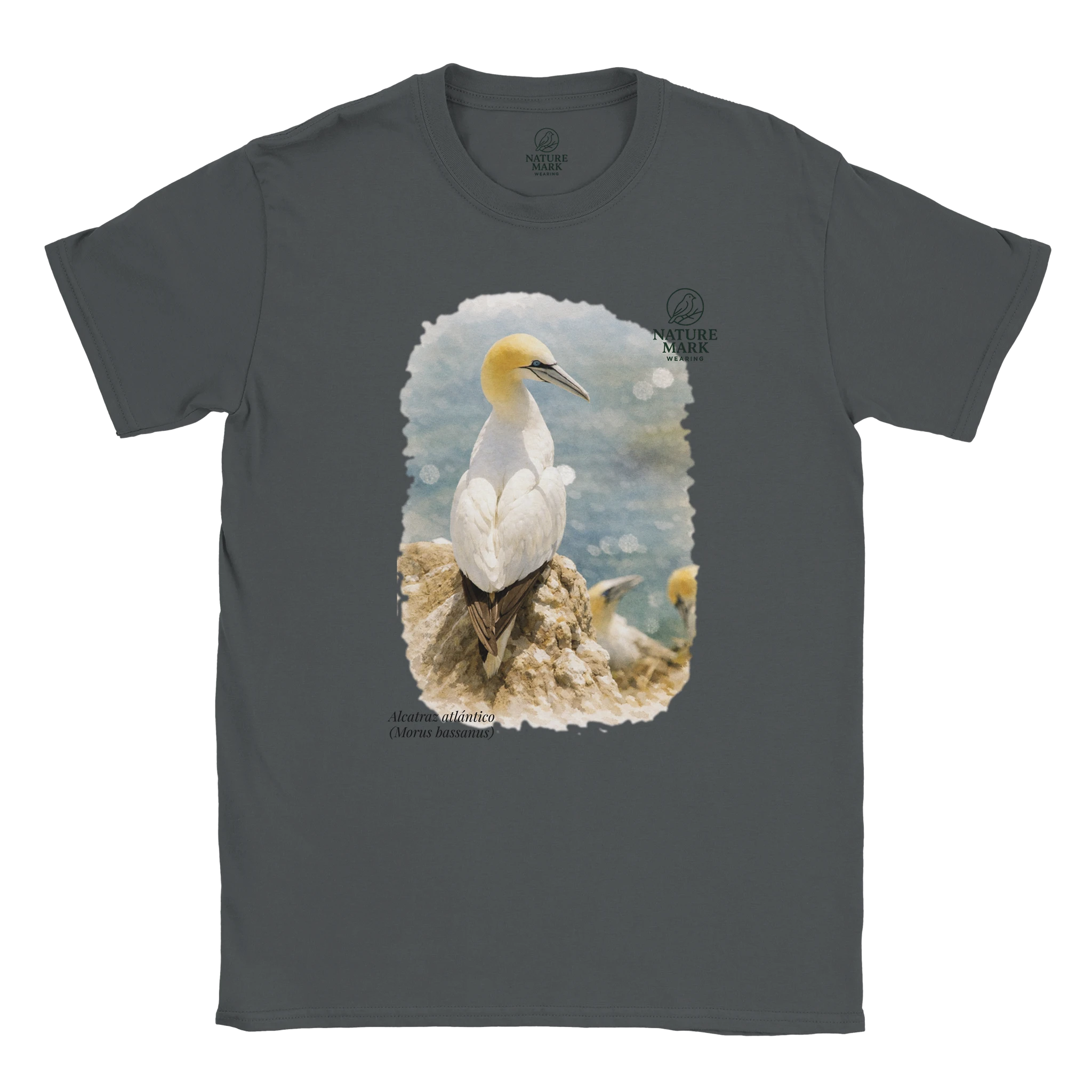 450946a7-1775-4e8d-8931-52de09f1733e