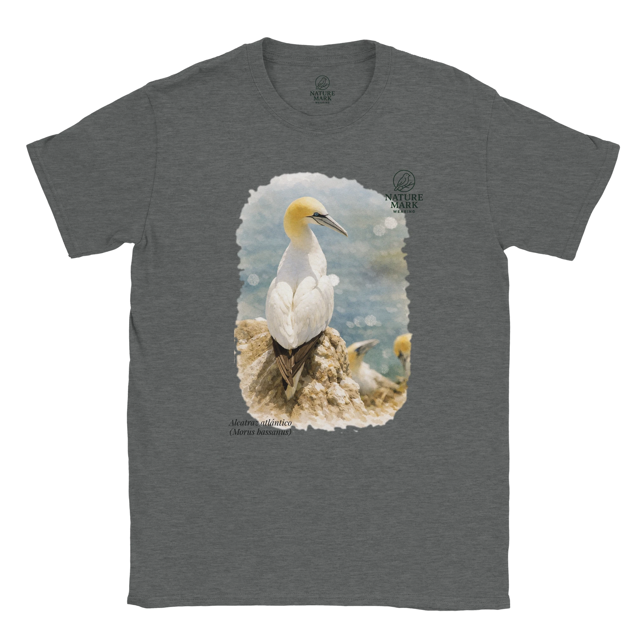 46150282-a2c0-4744-be0a-09227c486c2c