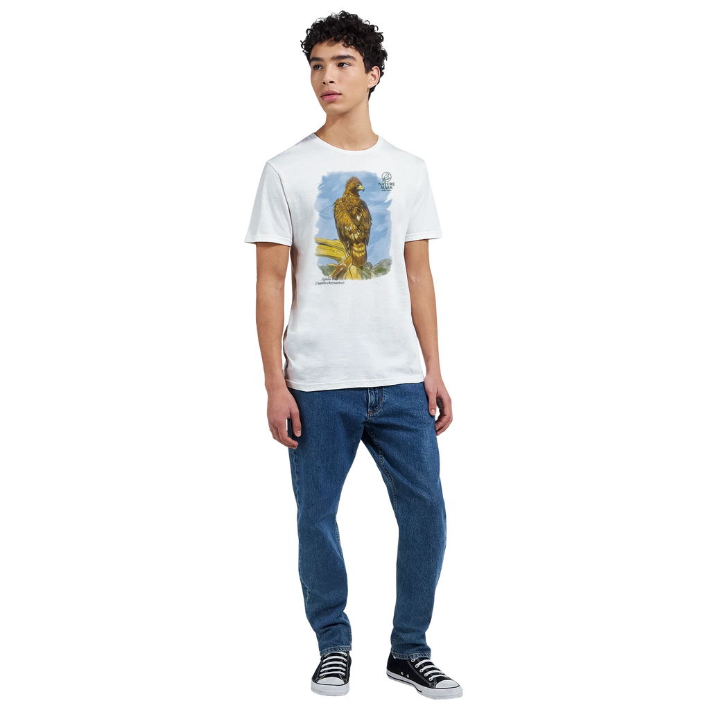 48770488-20a0-437b-b79f-30a5ad02277c