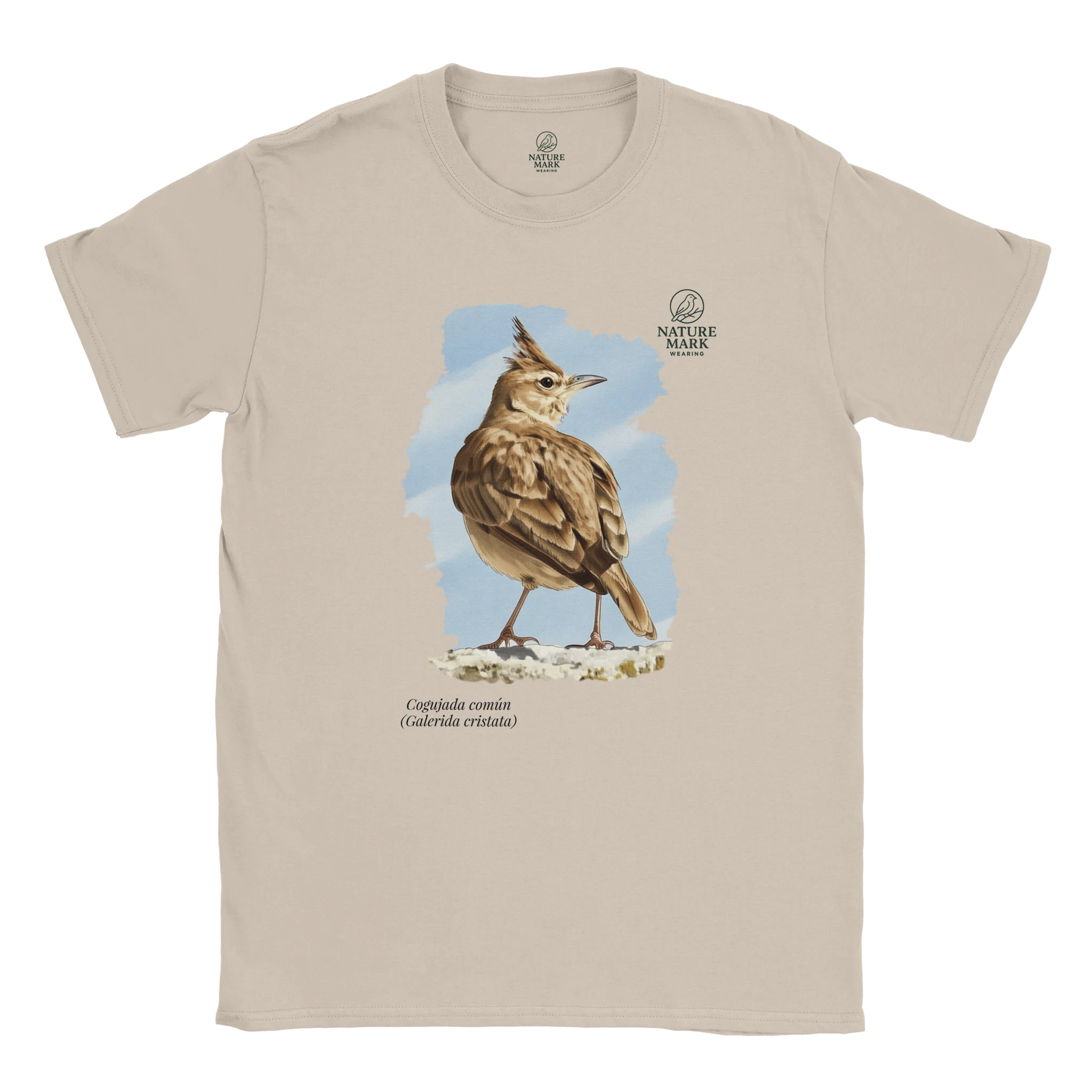 4fe39287-9b88-4e75-8338-4390b1684ddd