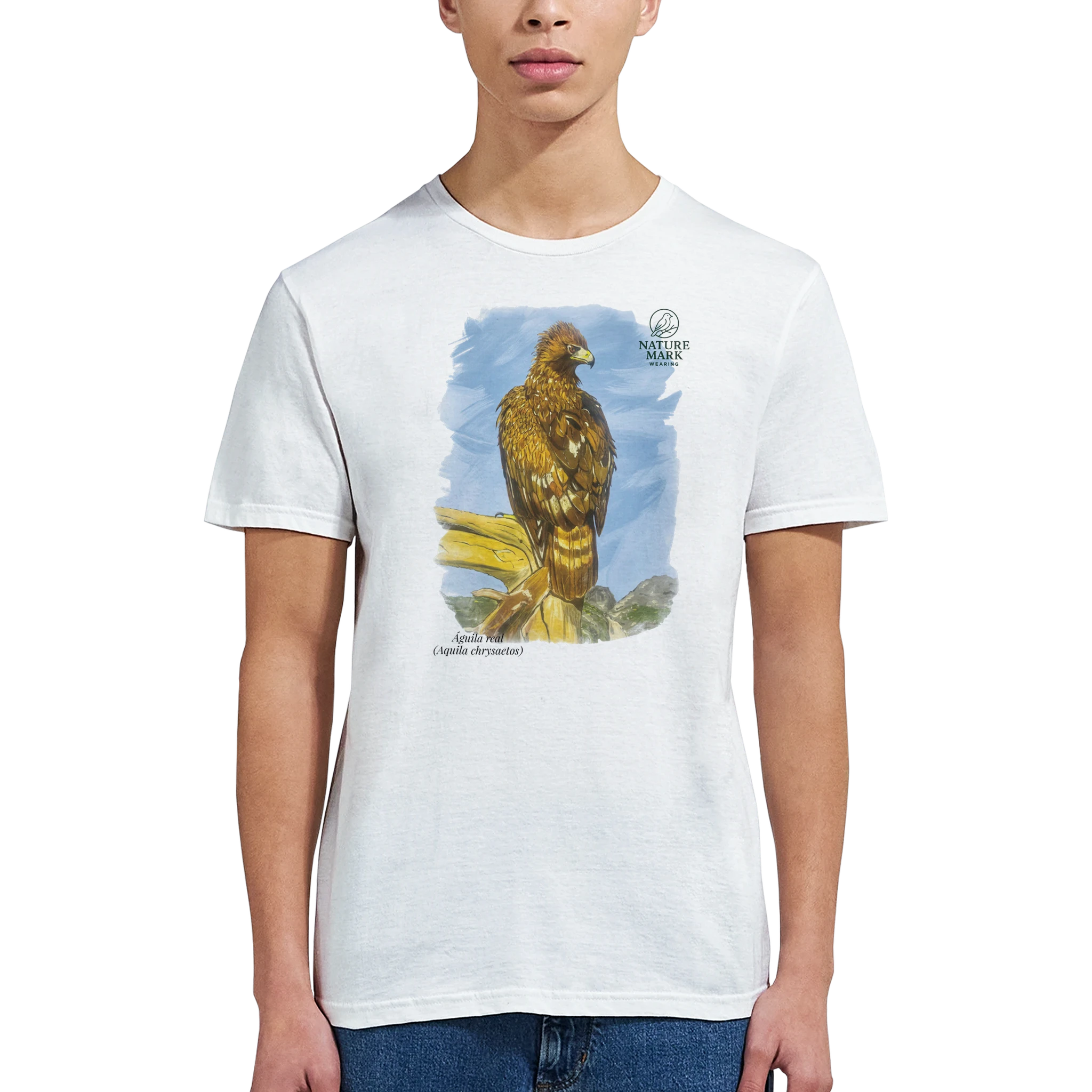 55ee43b4-ab35-45dd-b9ed-c57203d06ef7