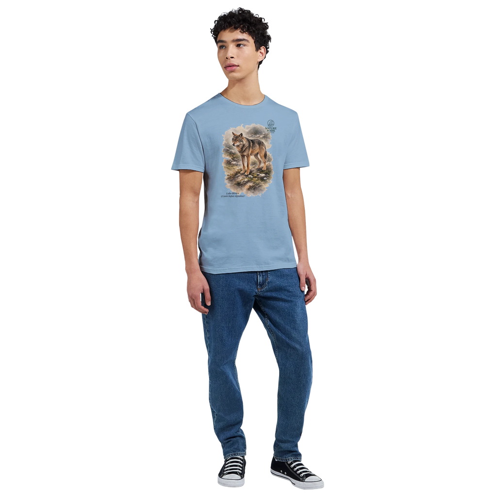 583ab932-1176-40a2-a6cc-24e30ed27373