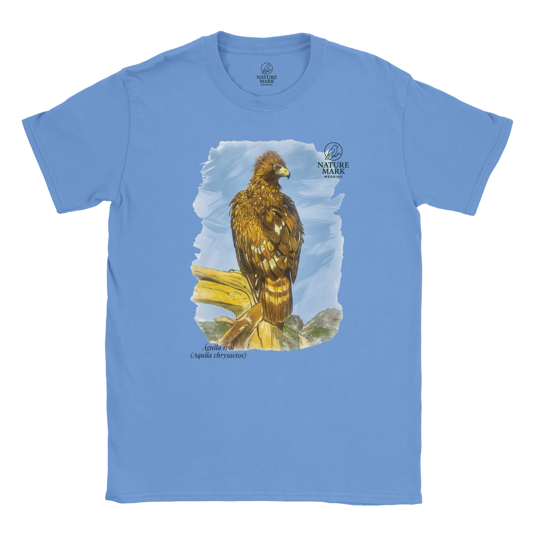 5886e7d8-dbaf-43c0-a6a3-fd72e59f39f6