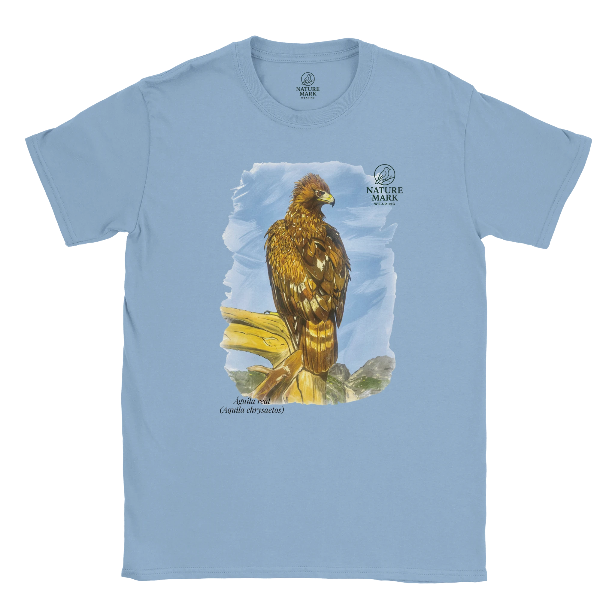 5ac31d04-aa78-44b7-8bd6-ae242a4e3d77