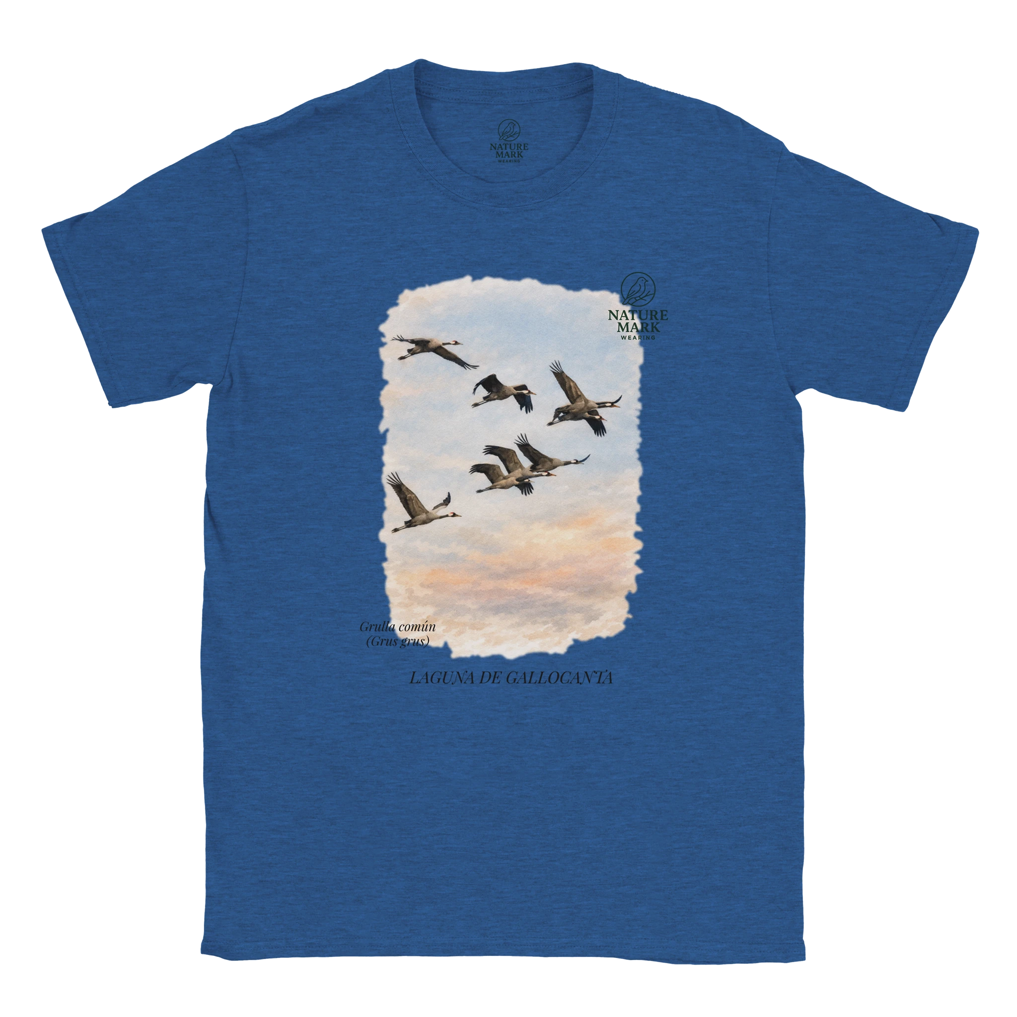 5d2ef6a2-3b04-485c-a458-130c8d17a0ef