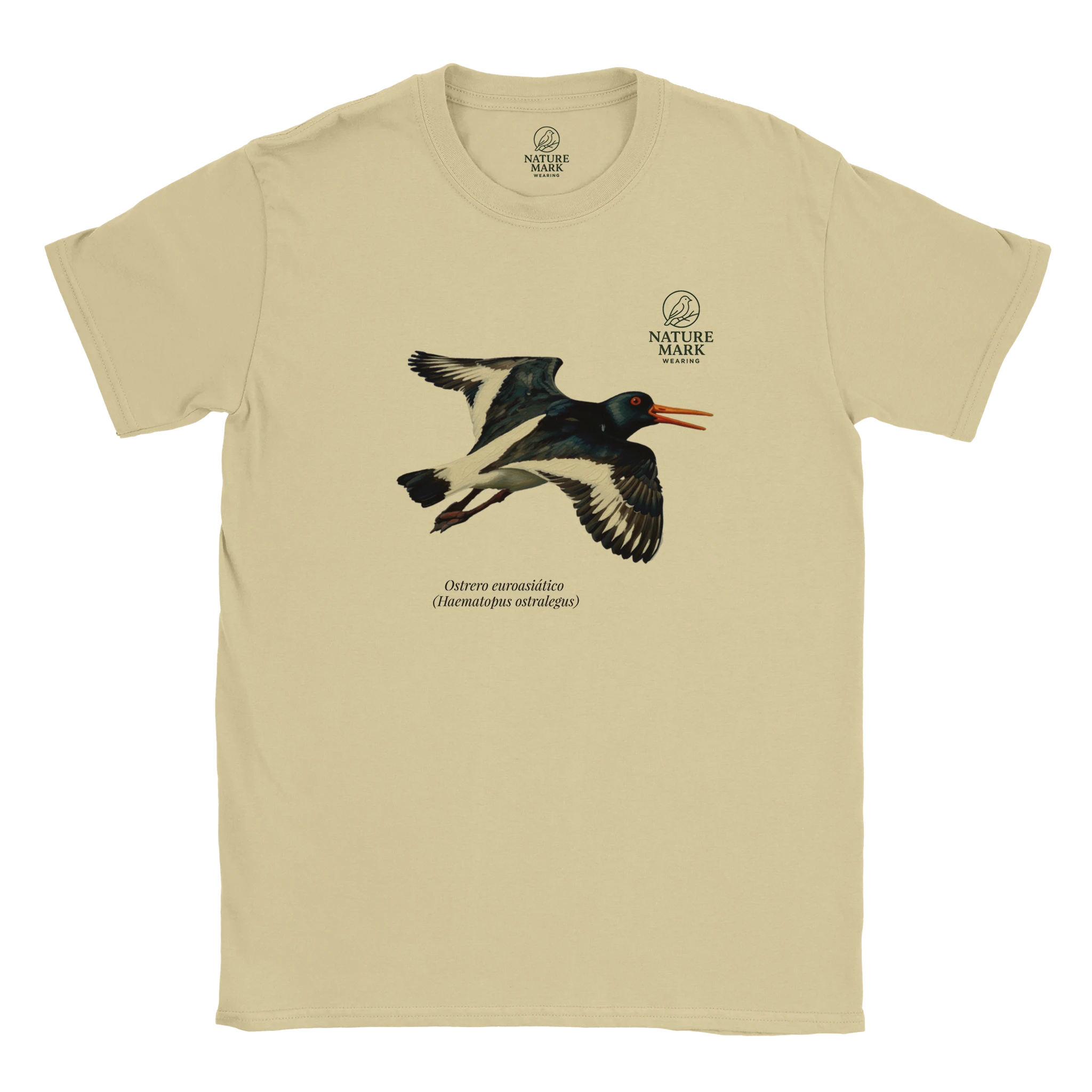 6898bf56-cee4-4c1c-aa82-9f0b7df0f47c