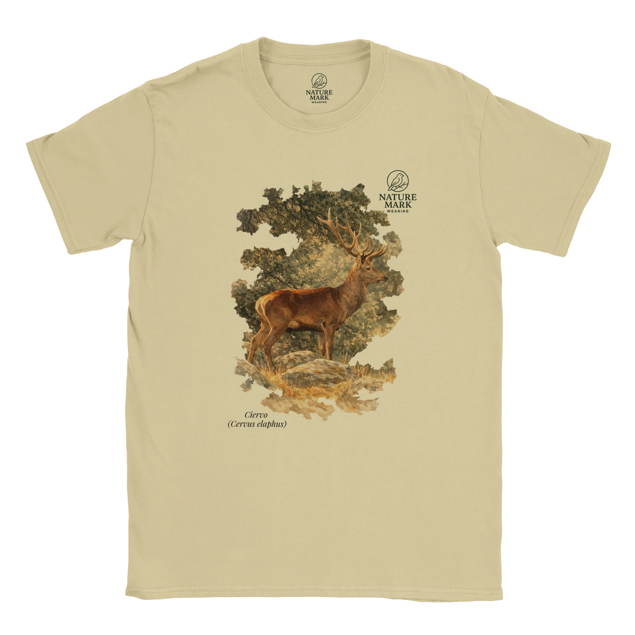 6cc9c655-7a51-4220-81a5-a31c6caee873