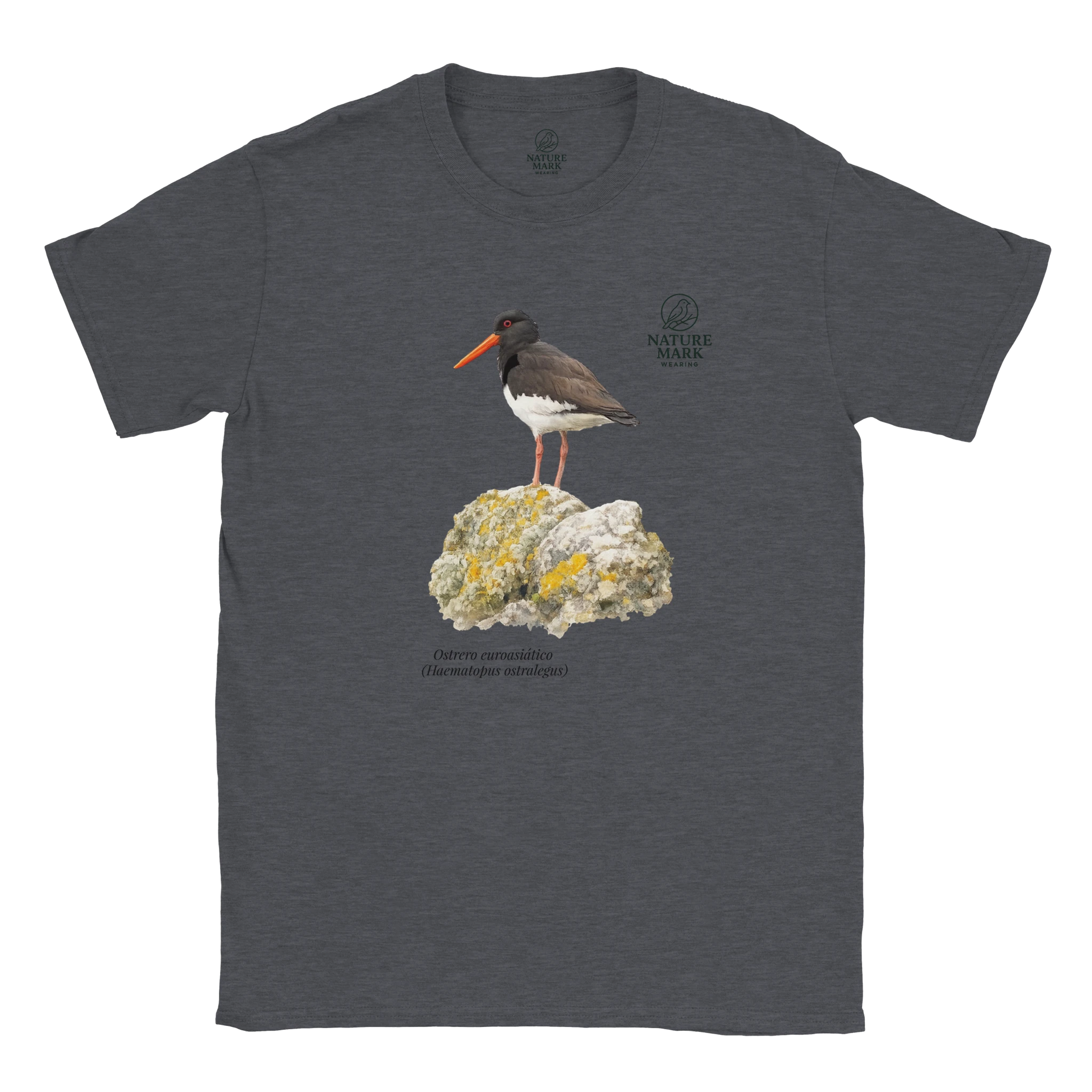 70ab8559-7374-40eb-b7b7-53d696c1ee99