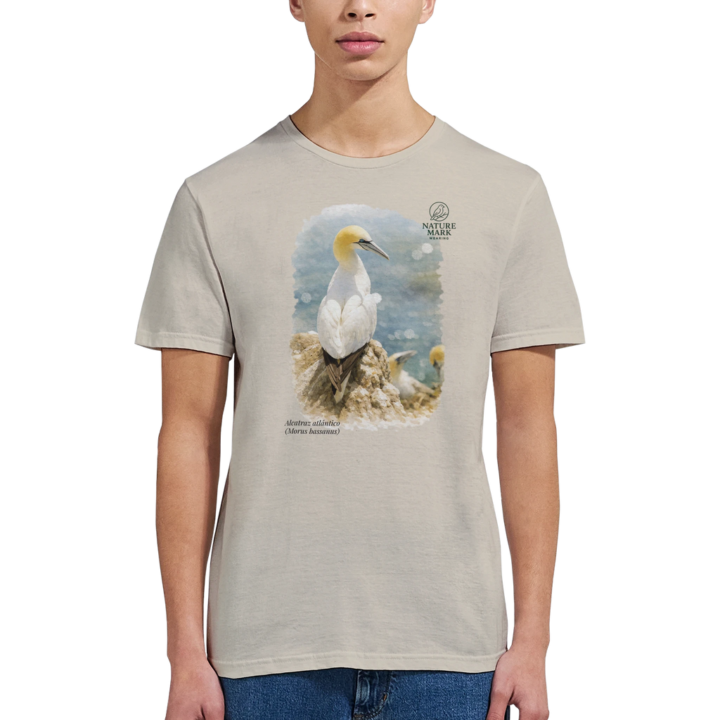 71efc12d-c0b7-42e9-b7cc-8759f3b90646