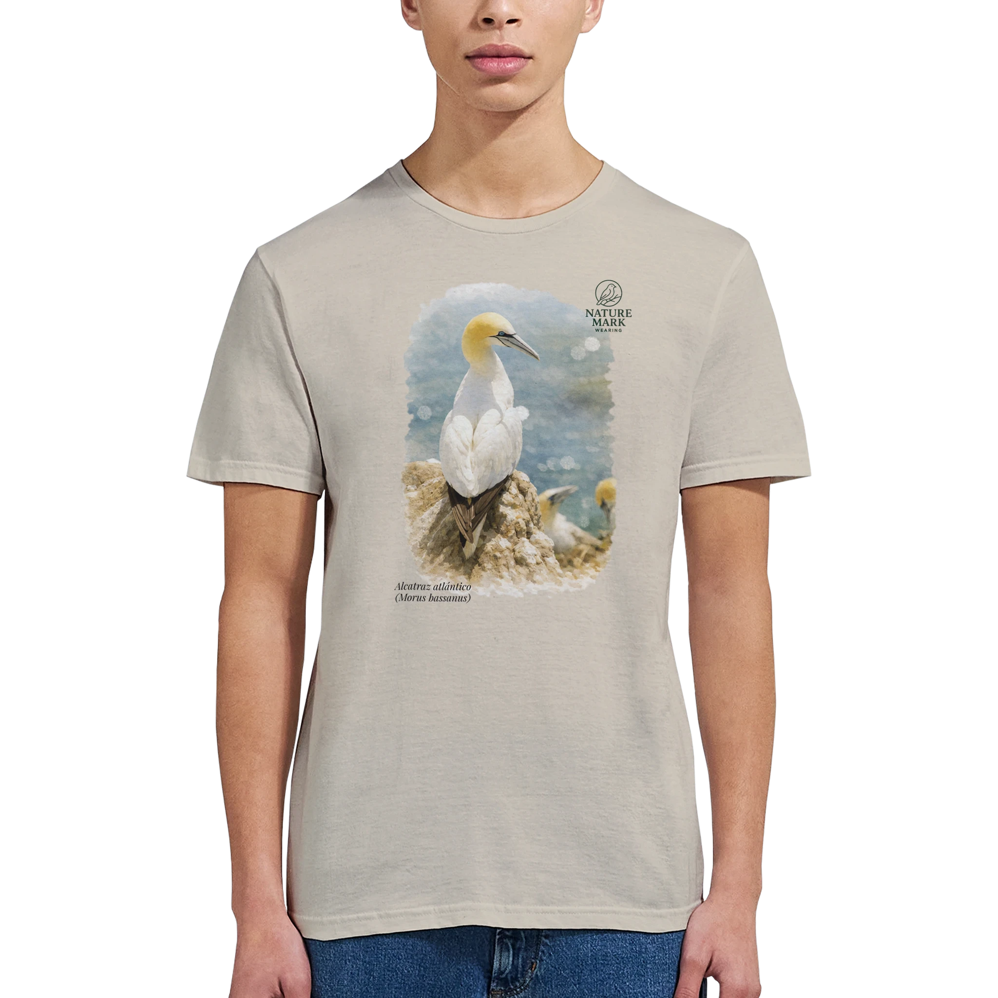 71efc12d-c0b7-42e9-b7cc-8759f3b90646