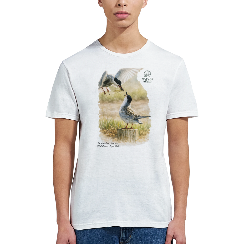 73283e80-a7c0-4c2c-b050-93d96a0faeb2