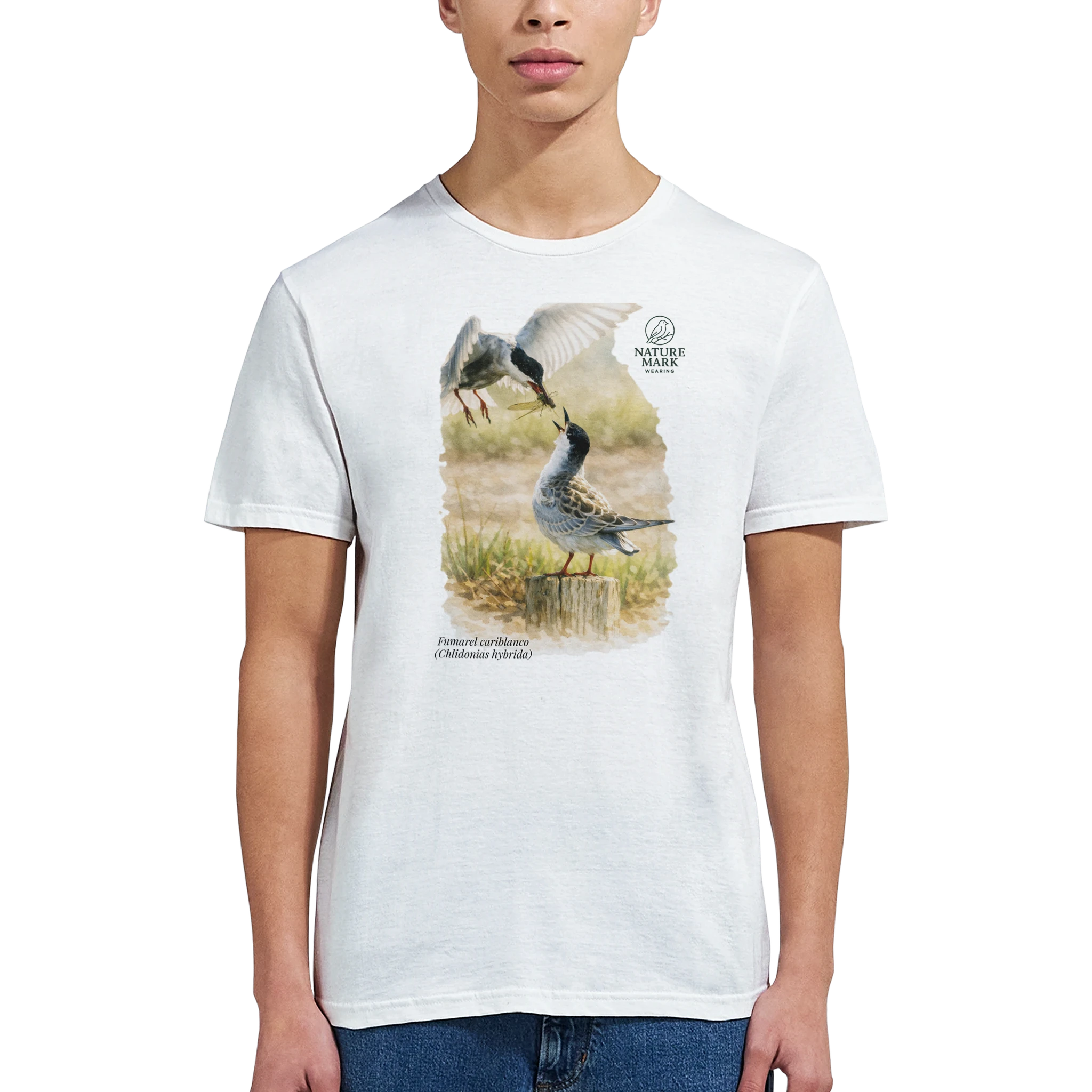 73283e80-a7c0-4c2c-b050-93d96a0faeb2