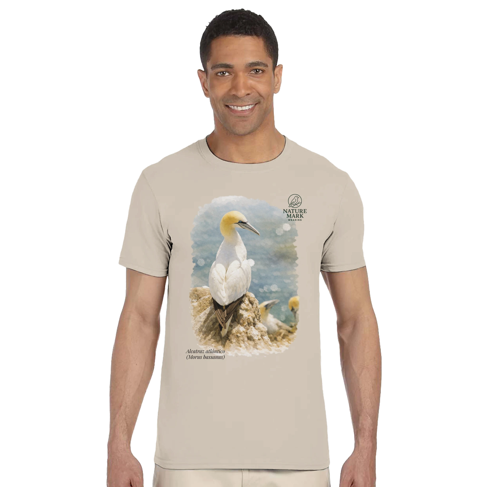 781dc5c5-6176-4819-a5c3-e550e4ce93aa