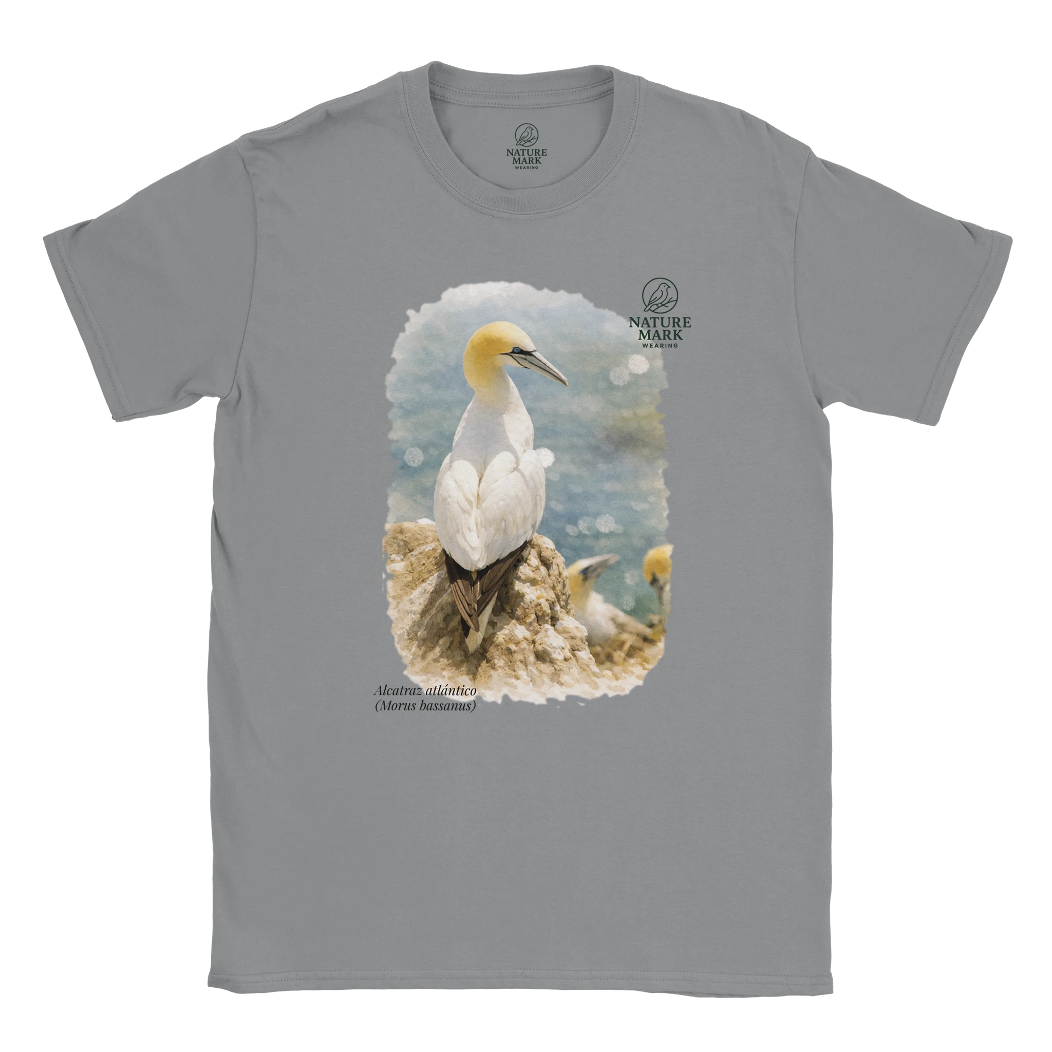 7e30892b-c2db-4bf5-9399-0c5463fb8c3d