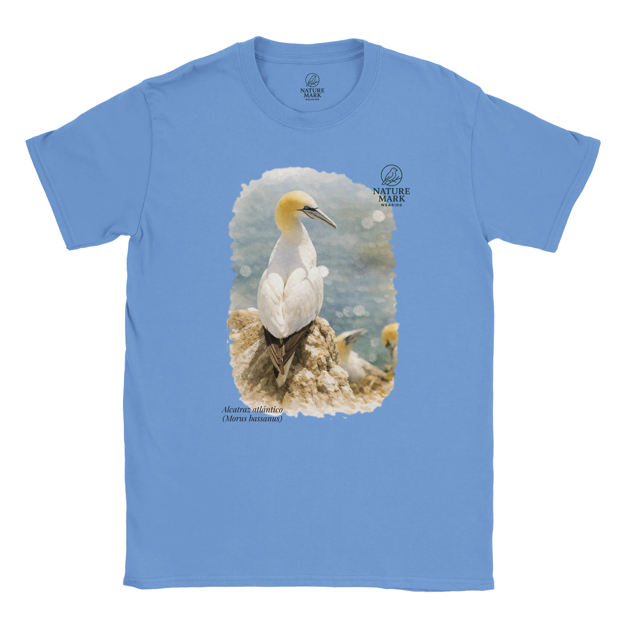 8a8fab60-a514-4c47-a8f7-137017b60bfa