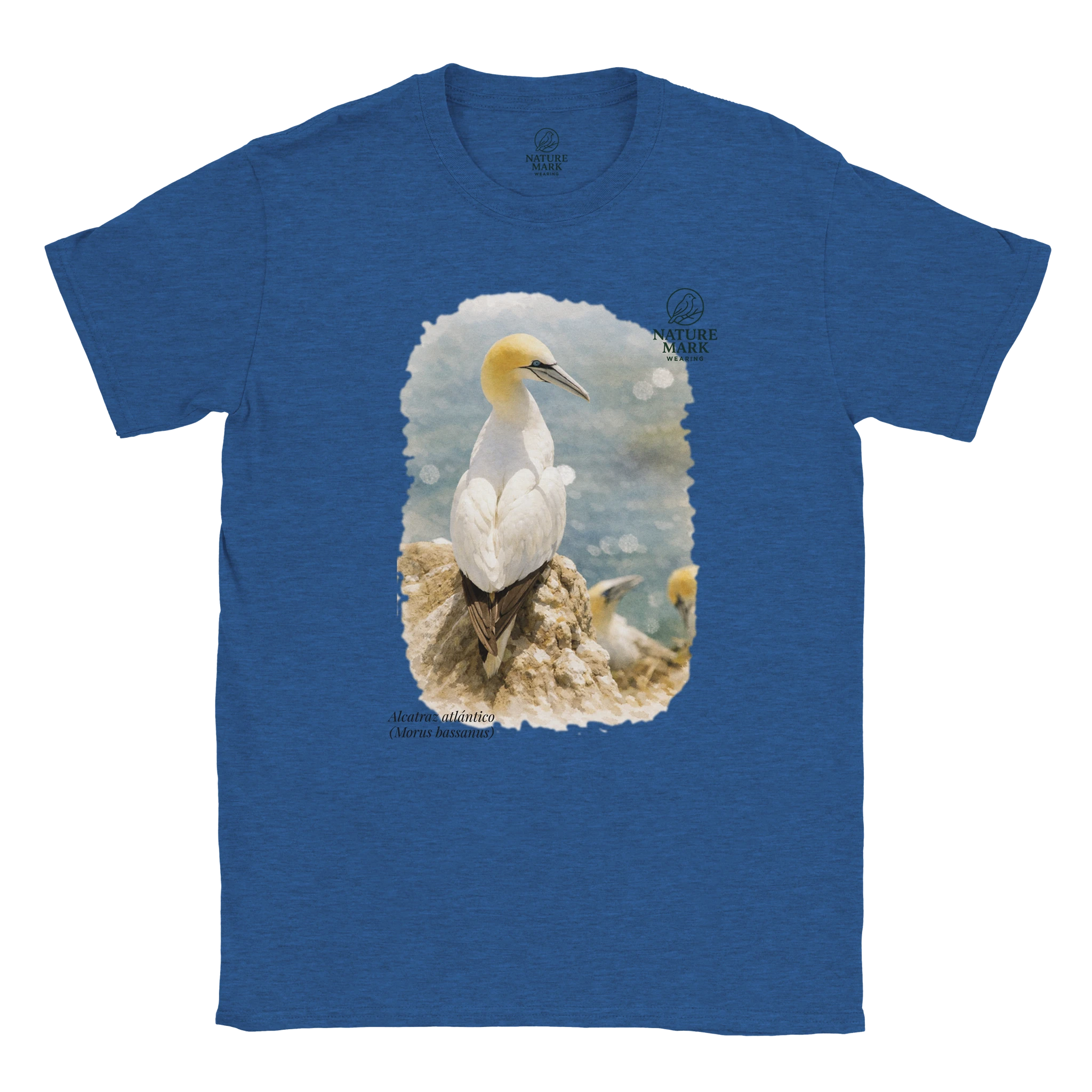 97611517-449c-4188-b3f5-0b7417c0b56e