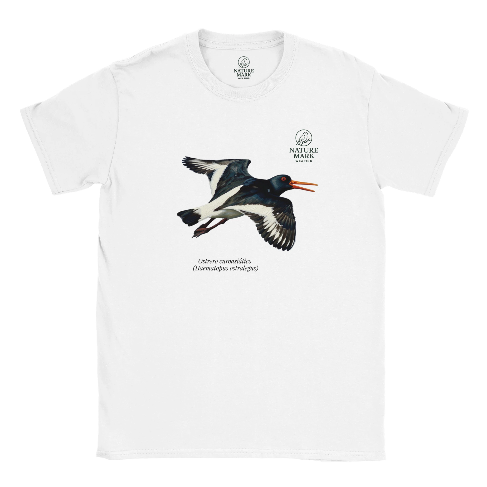 97efa4ea-553e-49ee-ad00-b0c1fb98b4be