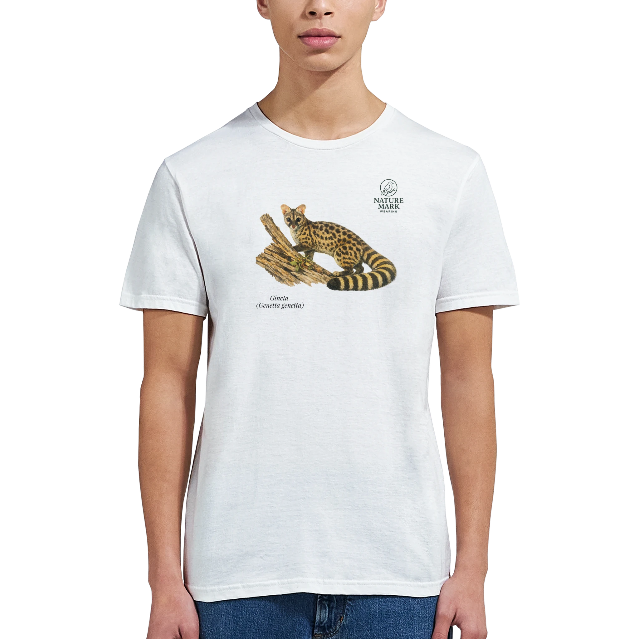 9c355413-f70f-4d4b-a419-302fc1344366