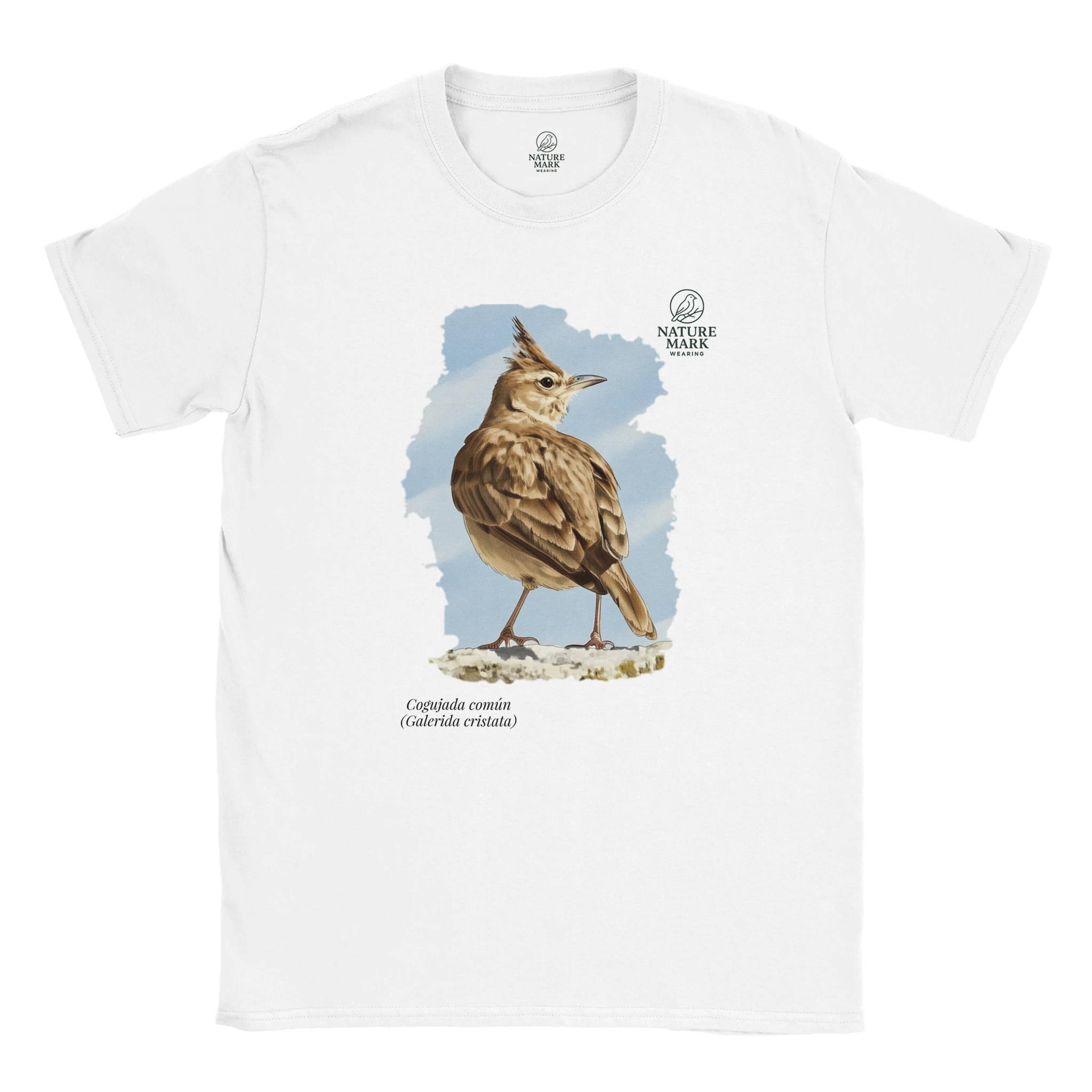 b71f273a-85ad-4fbc-ad38-16257102500f