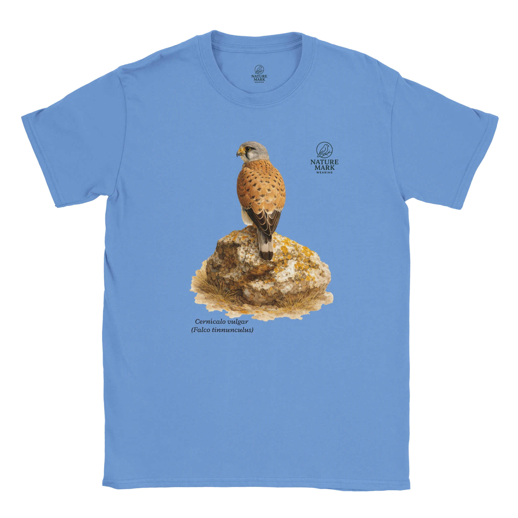 b9331e00-7554-404f-8bc7-8897f12c85d9