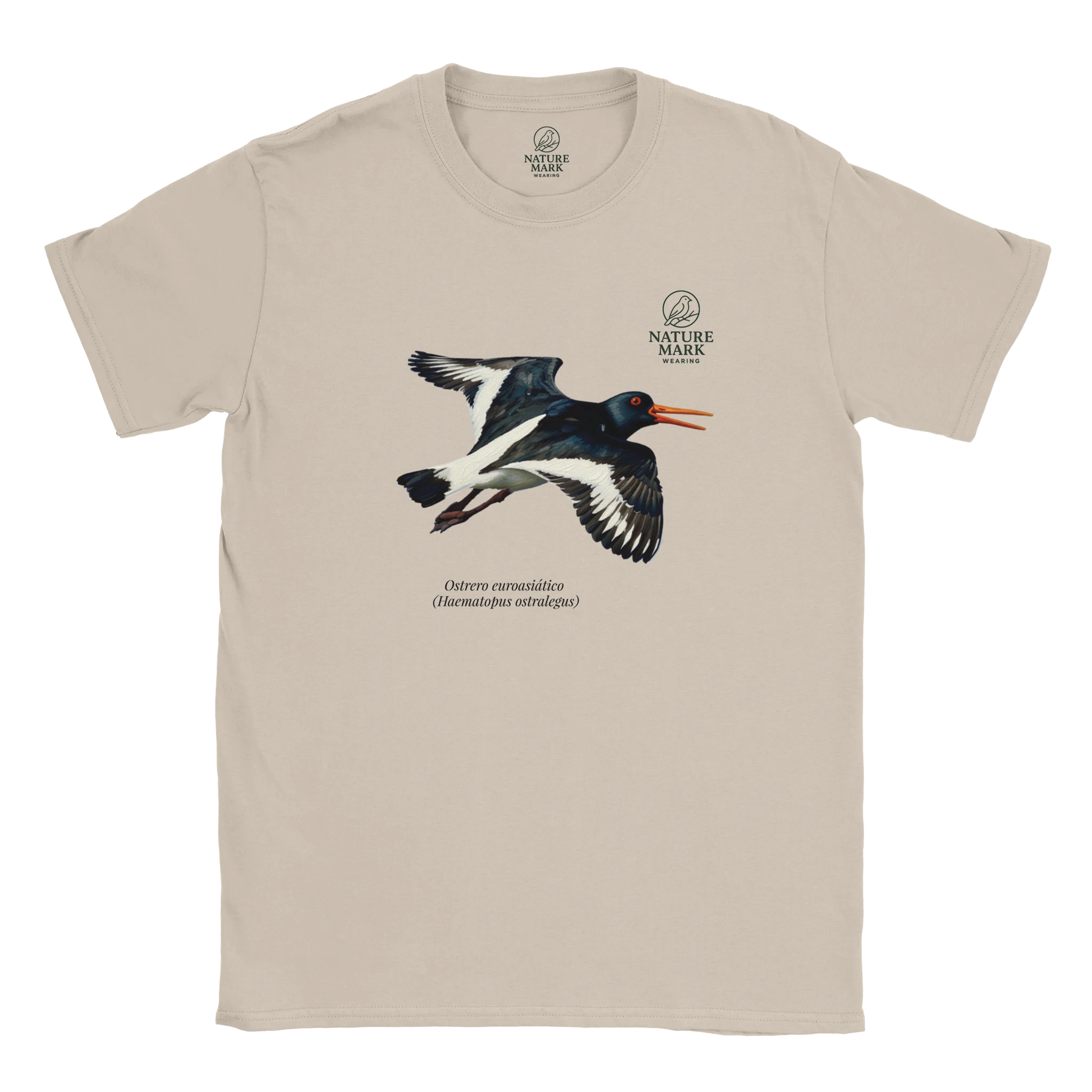 c2b5a156-2928-4cfe-b9b0-b8f25fe68c73