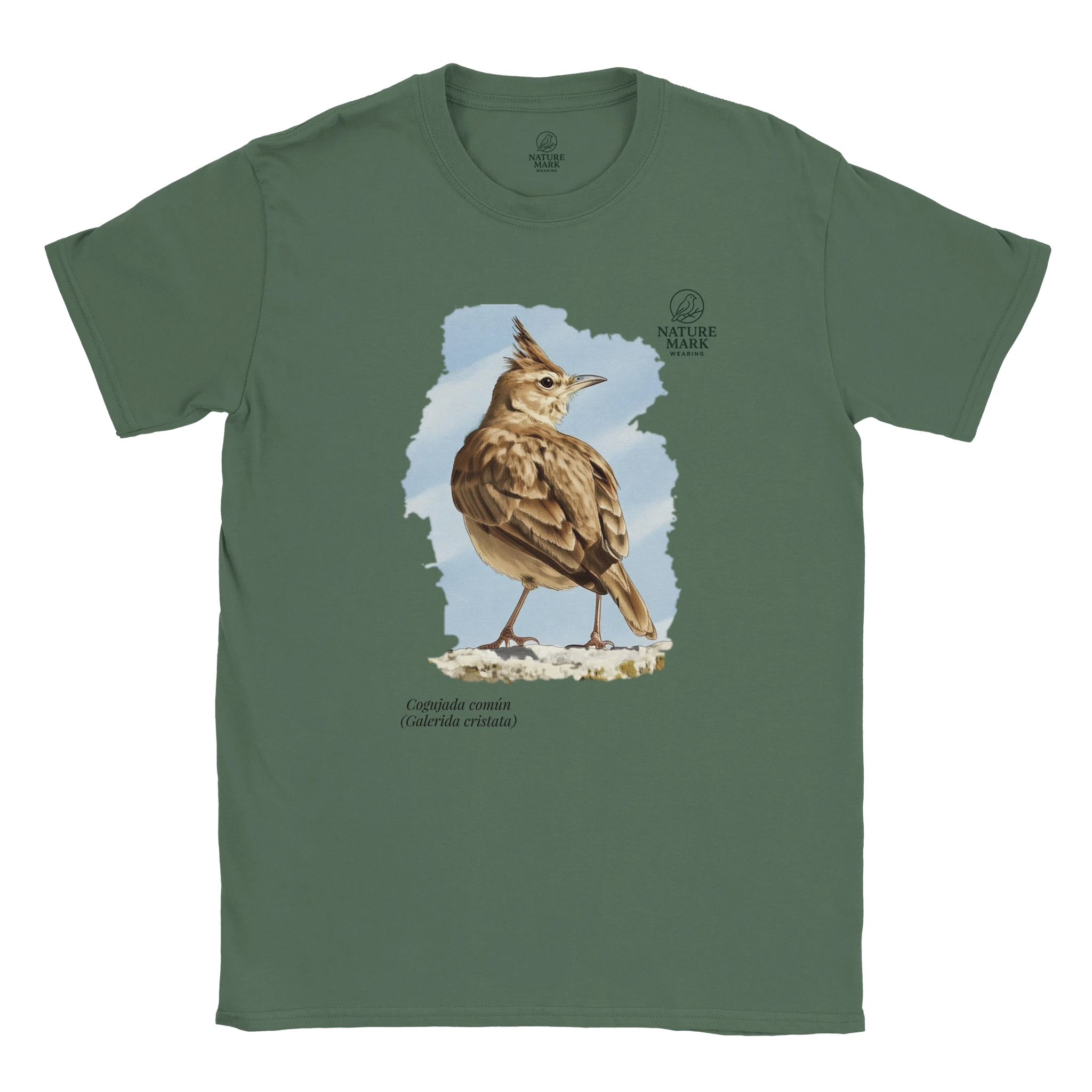 c819206c-a1de-42db-8b75-4933bba99c3e