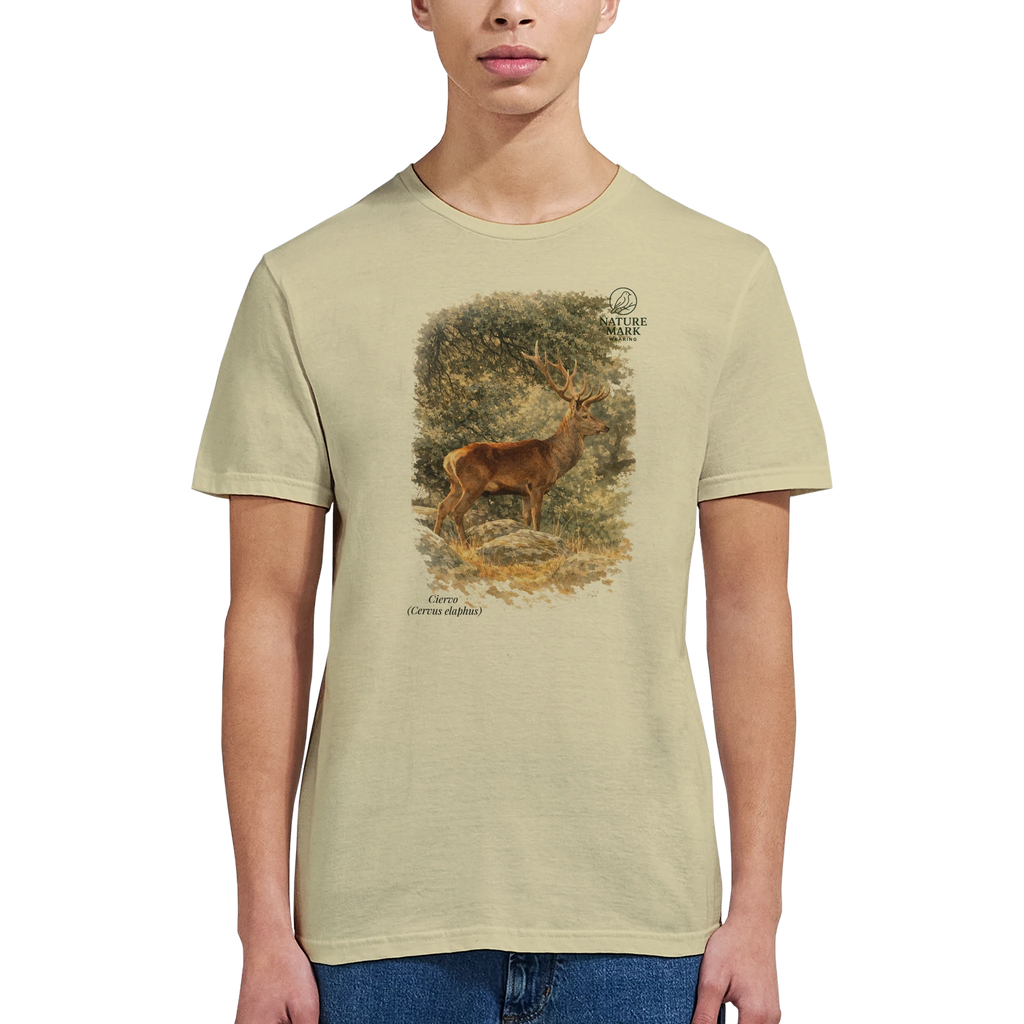 d3b19372-e19f-45cf-bdf9-718b1f4f961e