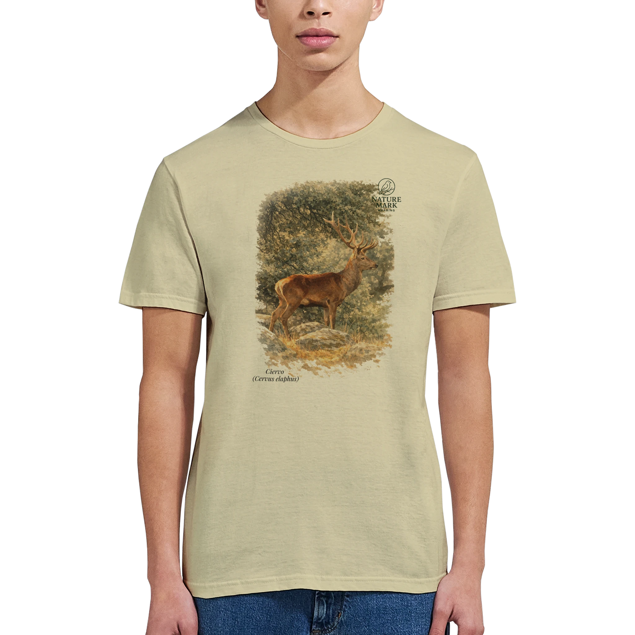 d3b19372-e19f-45cf-bdf9-718b1f4f961e