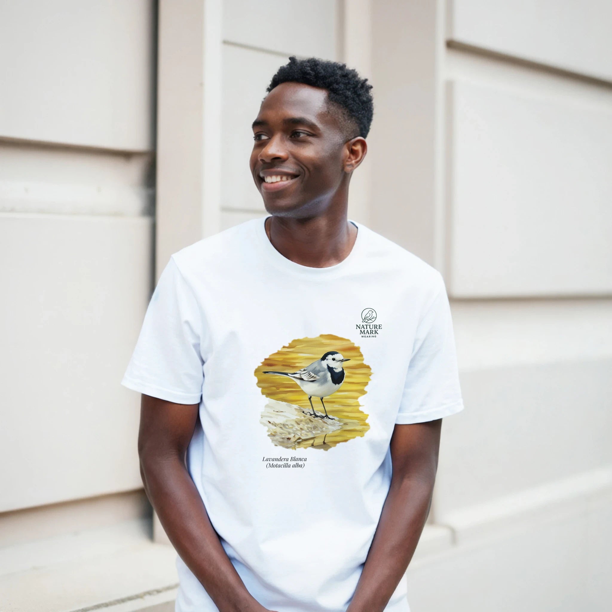 d848e749-7e77-4572-a0b4-39d2fbf03f77