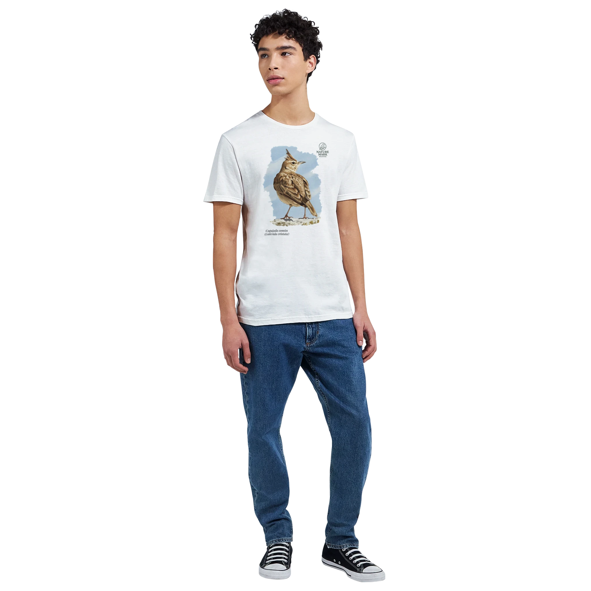 dbc42a03-cd6b-4ac6-bce7-c9f5848e87bd