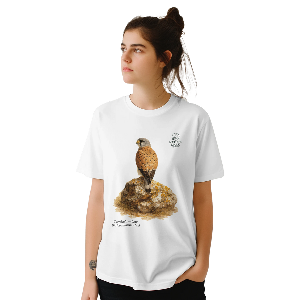 dc7563bb-df09-4848-afbd-6dd384f1496f