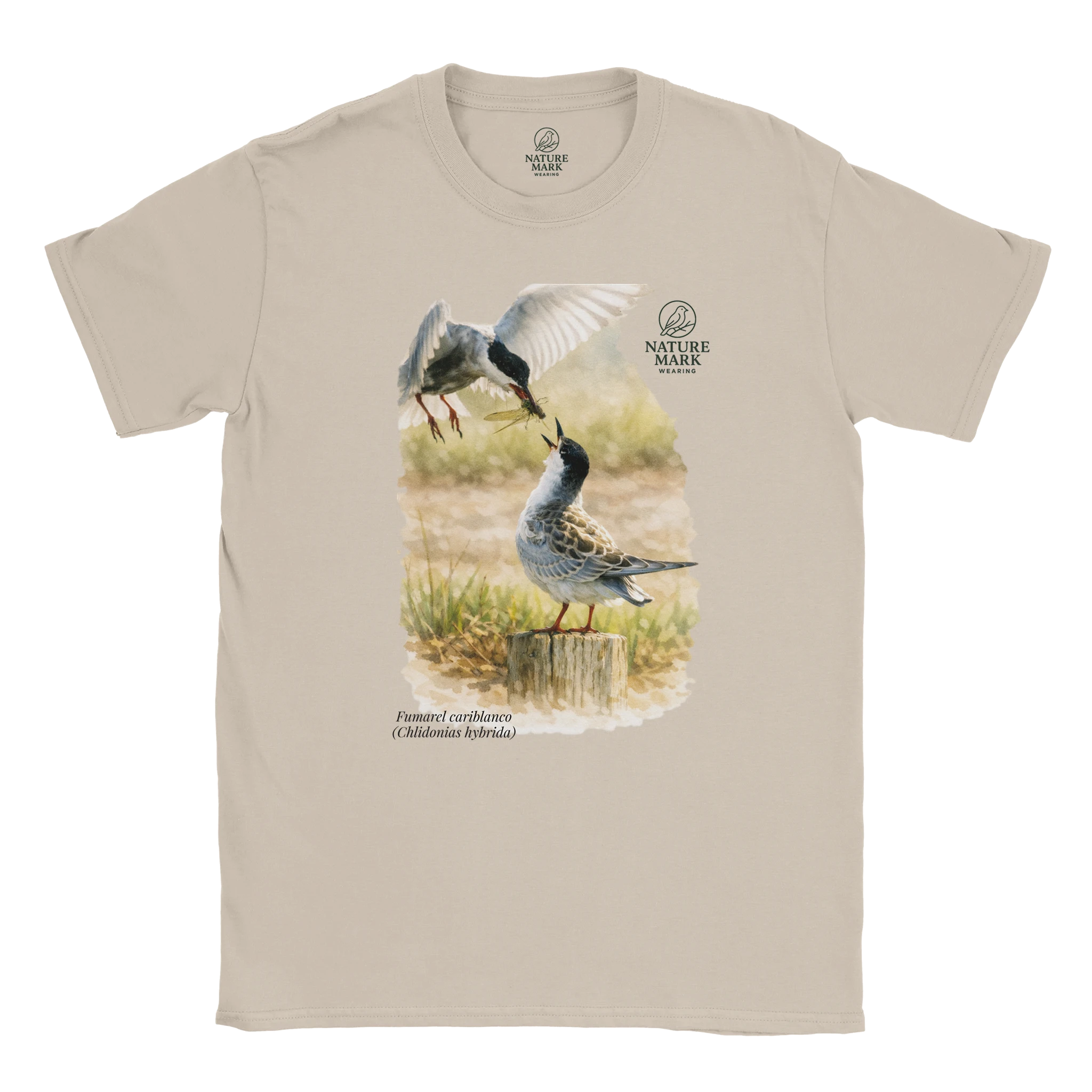 ddb7a88e-3eda-4c0b-be05-e6f8db965bd2