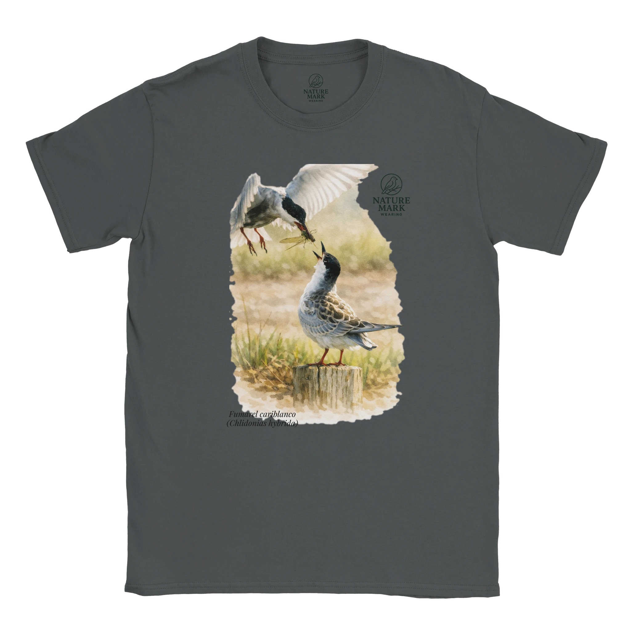 e741d9c0-1ec4-4948-837b-b93c9af7eeae