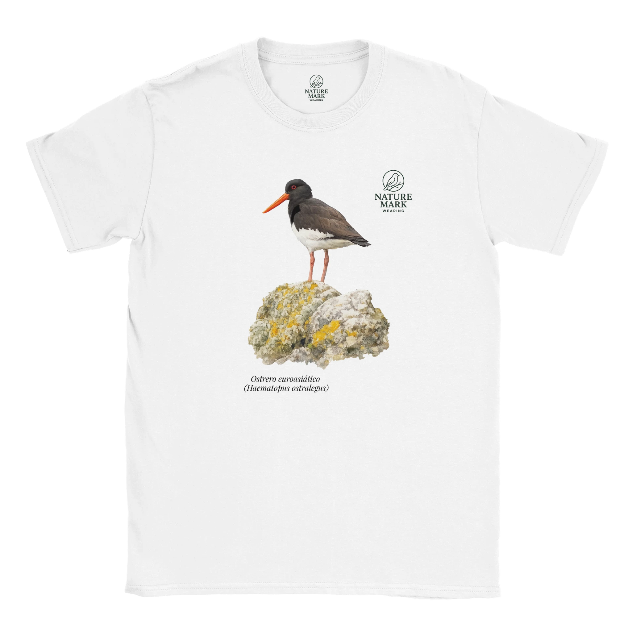 f9795794-fadb-4039-a47c-93d3b6c6a5a2