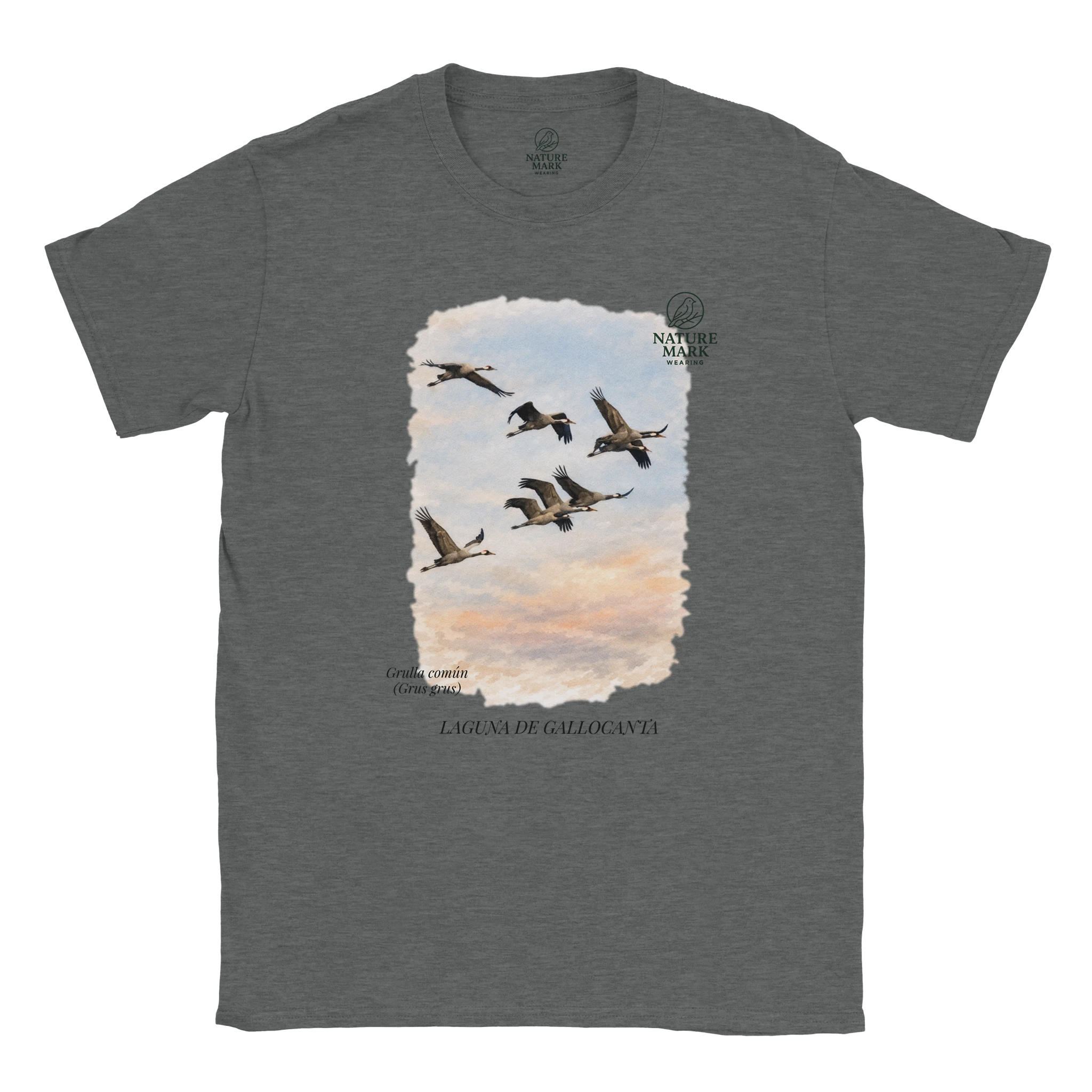 faf58bee-17d1-49db-9b31-013b34b5e172